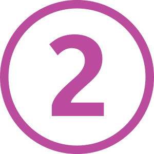 Logo Paris tram ligne2.svg