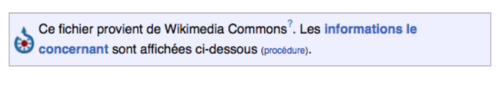 ExempleWikipediaBandeauCommons.png