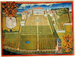 Jardin du roi 1636.png