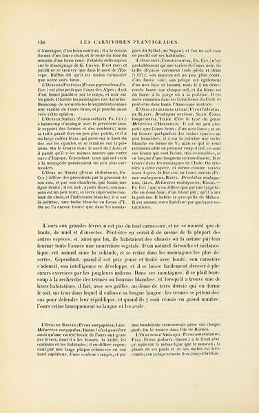 Fichier:Jardin des plantes (1845) Boitard, page 264.jpg