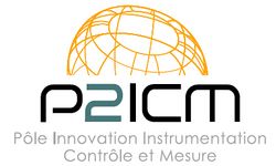 Logo P2ICM.jpg