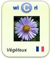 LogoWicriVégétaux2025.jpg