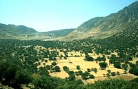 Nisyros inland 1.jpg