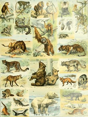 Nouveau Larousse illustré - dictionnaire universel encyclopédique (1898) (14782229745).jpg