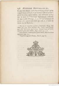 Buffon Hist Nat E.O. Tome 7 f174.jpg