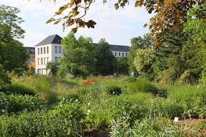 Botanischer Garten Leipzig Freilandanlage 2015.jpg