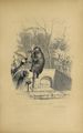 Jardin des plantes (1845) Boitard, page 259.jpg