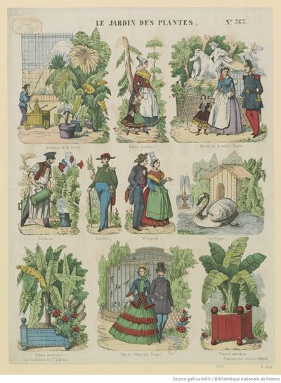 Image Epinal Jardin des Plantes n 363.jpeg