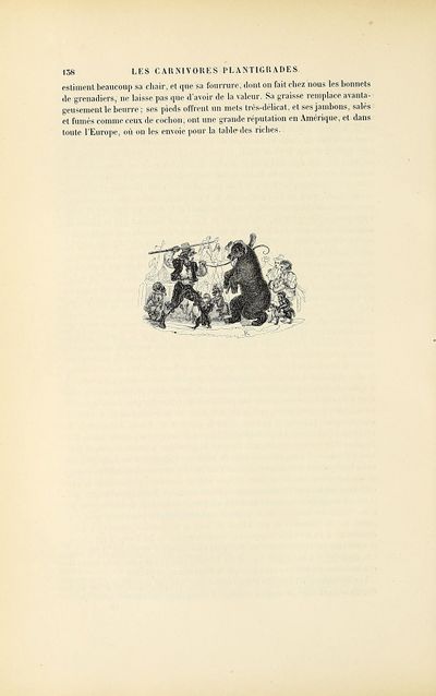 Jardin des plantes (1845) Boitard, page 266.jpg