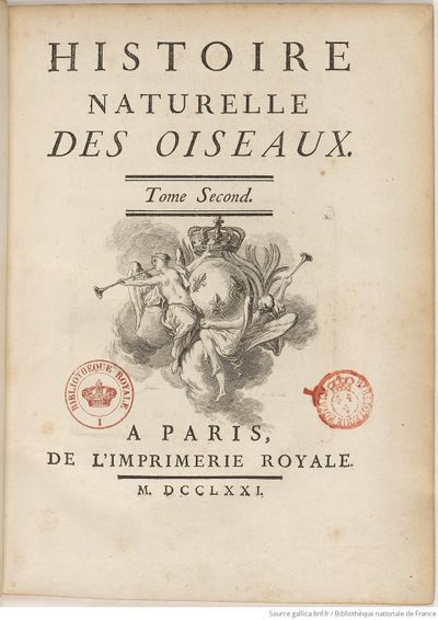 Buffon Hist Nat E.O. Tome 17 f11.jpg