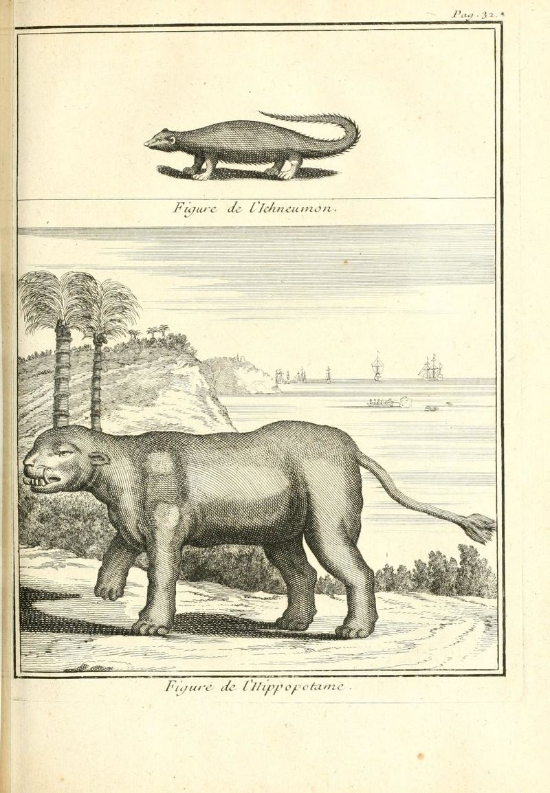 Egypte Maillet Le Mescrier 1735 IA n404.jpg