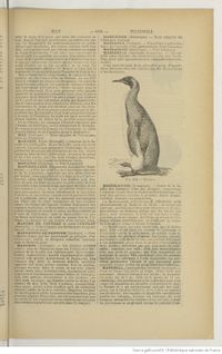 Dict. Sciences (1924) Poiré S4 f163.jpg