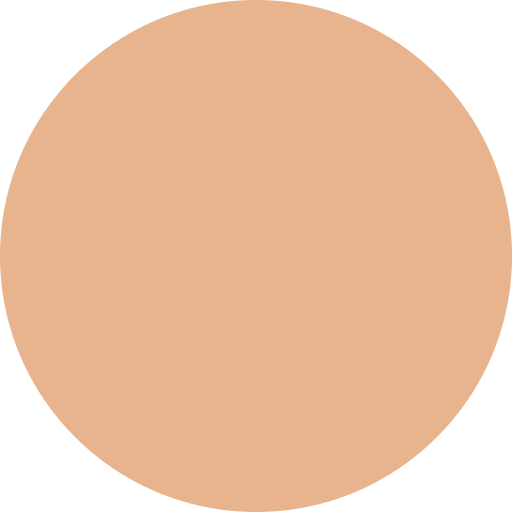 File:DiscChocolate05.svg