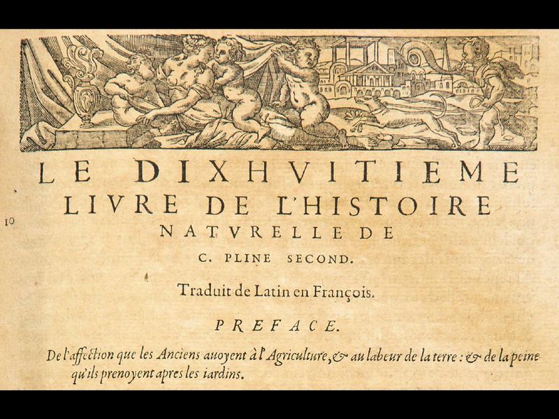 File:Diaporama visite exposition Renaissance (22).jpg