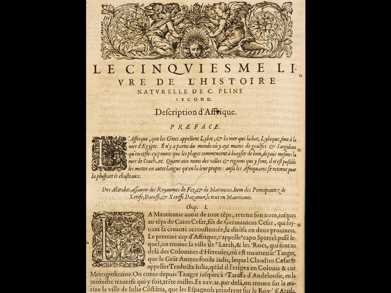 File:Diaporama visite exposition Renaissance (19).jpg