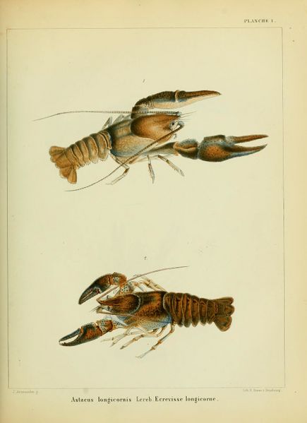 File:ALS Mémoires 1858 page 223.jpg