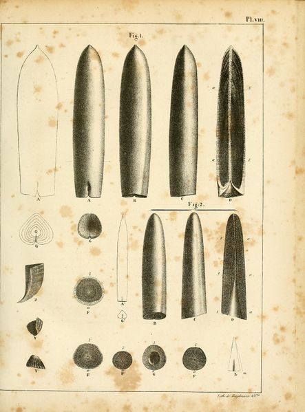 File:ALS Mémoires 1830 page 101.jpg