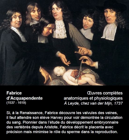 File:Cartel 45-Fabrice 2.jpg