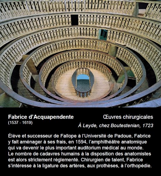 File:Cartel 46-Fabrice 3.jpg