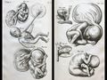 Thumbnail for version as of 15:13, 12 December 2020