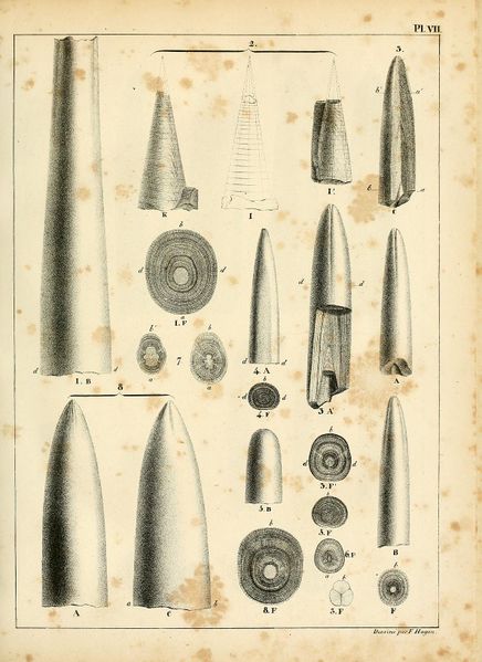 File:ALS Mémoires 1830 page 99.jpg