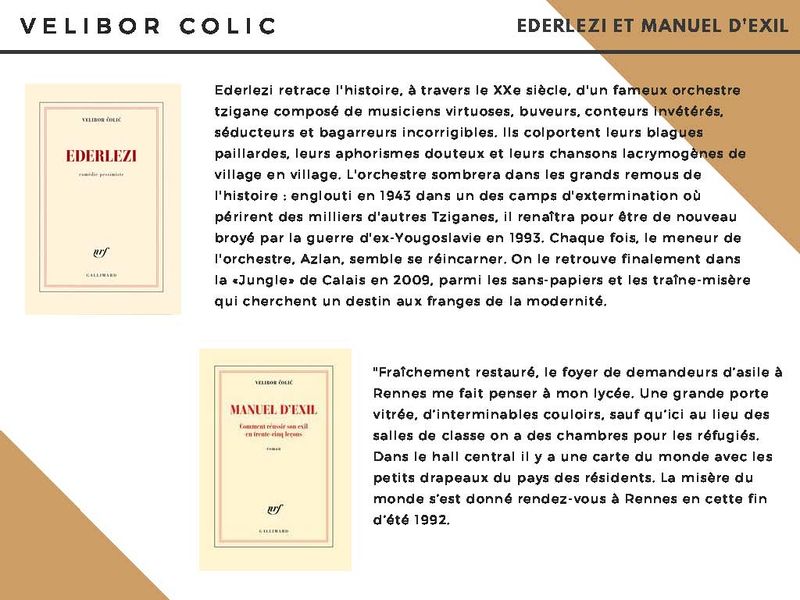 File:Velibor COLIC Page 2.jpg