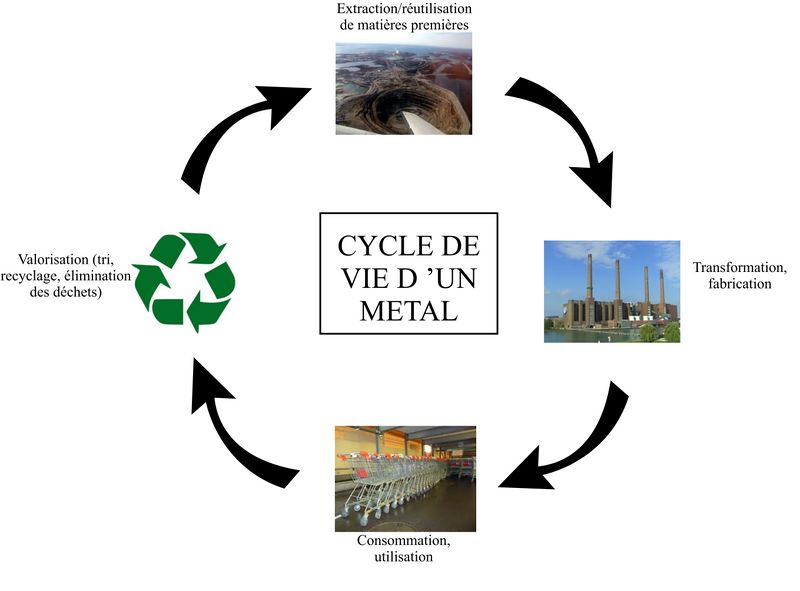 File:Cycle de vie.jpg