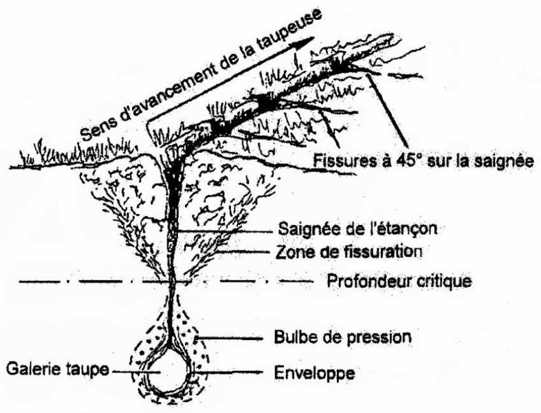 File:MotsAgro Taupage 5.jpg