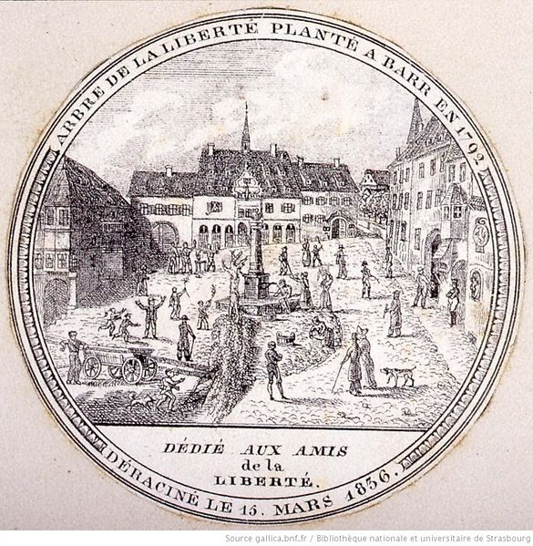 File:Arbre de la Liberté planté btv1b102003279.JPEG