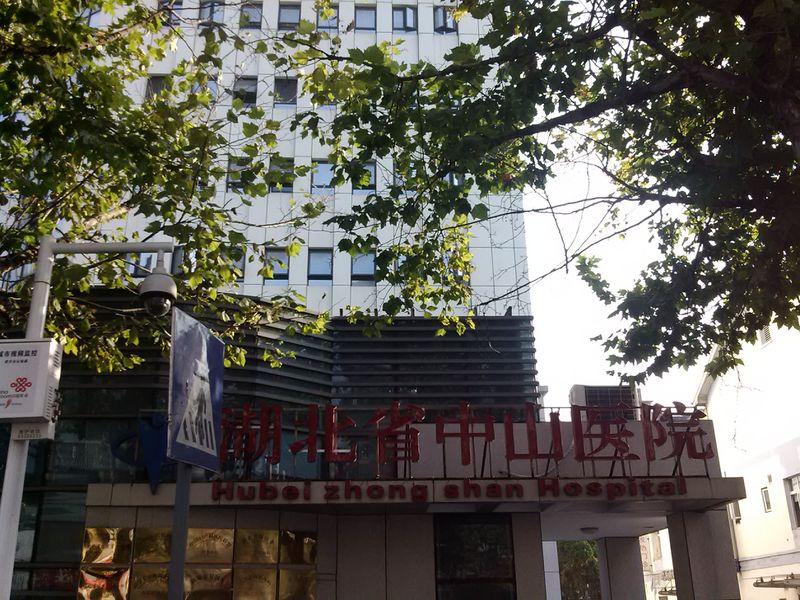 File:Hubeisheng Zhongshanyiyuan Damen.jpg