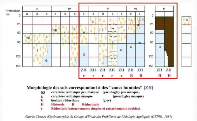 File:MotsAgro Zones humides et drainage 3.png
