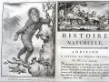 Thumbnail for version as of 15:21, 12 December 2020