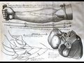 Thumbnail for version as of 15:22, 12 December 2020