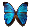 Thumbnail for version as of 15:21, 12 December 2020