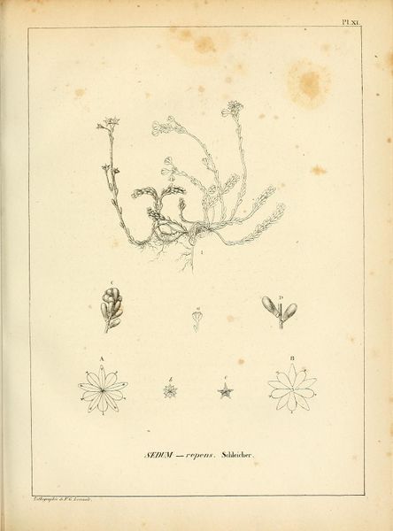 File:ALS Mémoires 1830 page 243.jpg