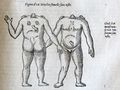 Thumbnail for version as of 15:21, 12 December 2020