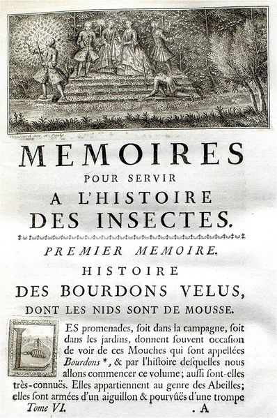 File:Exposition Stanislas BU 2016-ReaumurBourdonsVelus.jpg