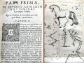 Thumbnail for version as of 15:22, 12 December 2020