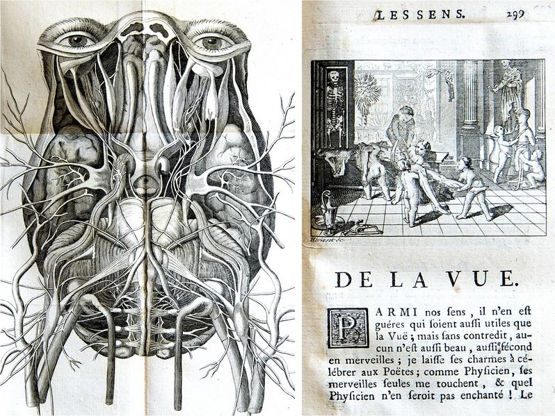 File:Exposition Stanislas BU 2016-LeCatVue.jpg