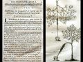 Thumbnail for version as of 15:22, 12 December 2020