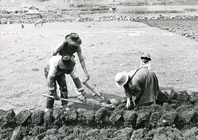 File:MotsAgro chaquitaclla 3.jpg