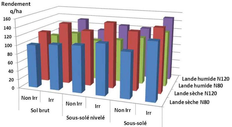 File:MotsAgro Sous-solage 14.jpg