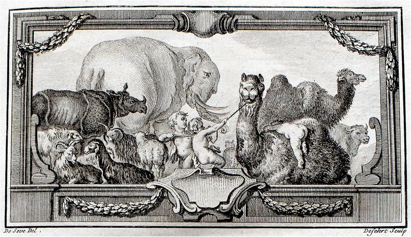 File:Exposition Stanislas BU 2016-BuffonElephant.jpg