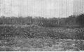 Thumbnail for version as of 21:12, 16 October 2025
