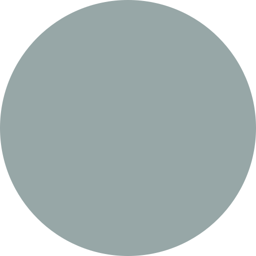 File:DiscDarkSlateGray05.svg