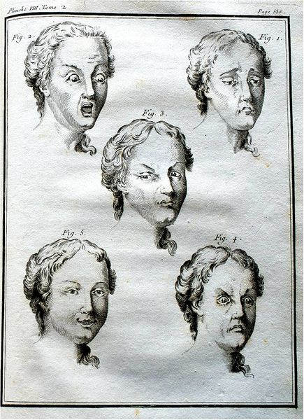 File:Exposition Stanislas BU 2016-BuffonPhysionomie.jpg
