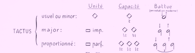 File:Auda Tactus 1948 fig. 20.png