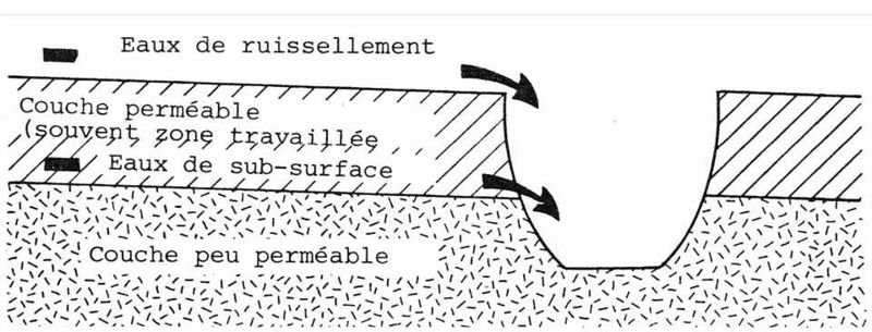 File:MotsAgro Drainage 3.jpg