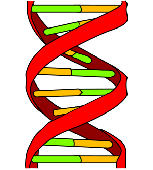 DNA icon.svg