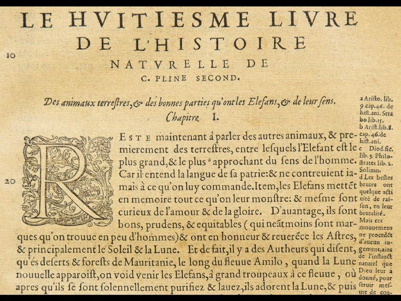 File:Diaporama visite exposition Renaissance (23).jpg